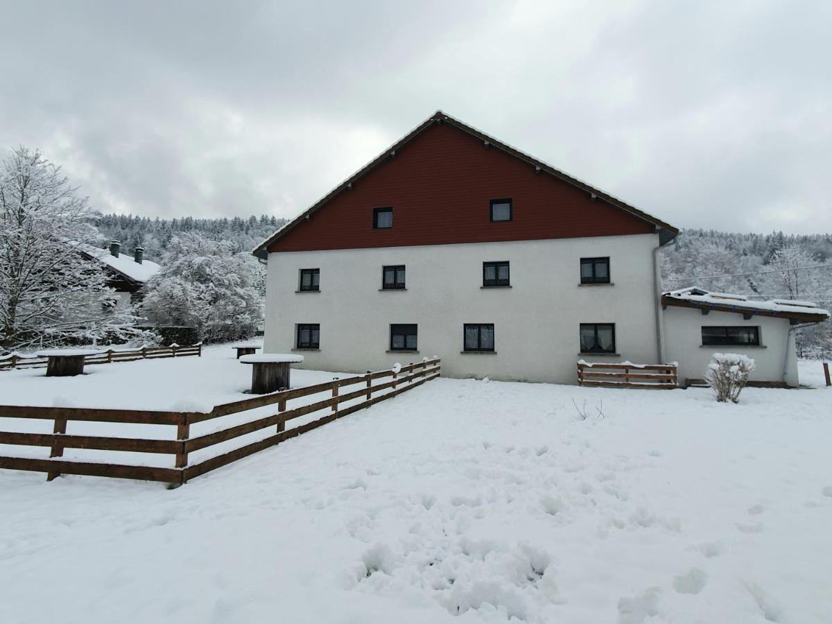 Appart Le Cerf 4 Etoiles 74M2 Cornimont Buitenkant foto